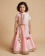 Load image into Gallery viewer, Girl wearing baby pink raw silk top and skirt set with golden embroidery