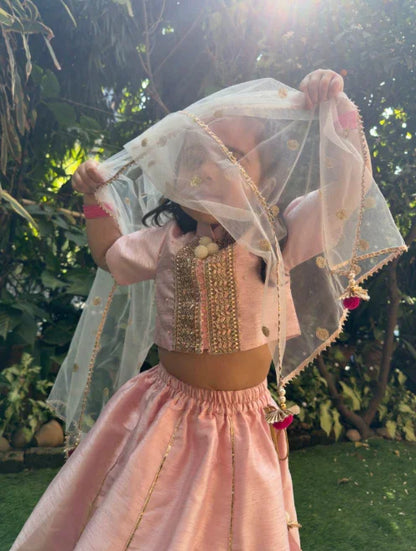 Baby pink raw silk goat work anarkali skirt and top set
