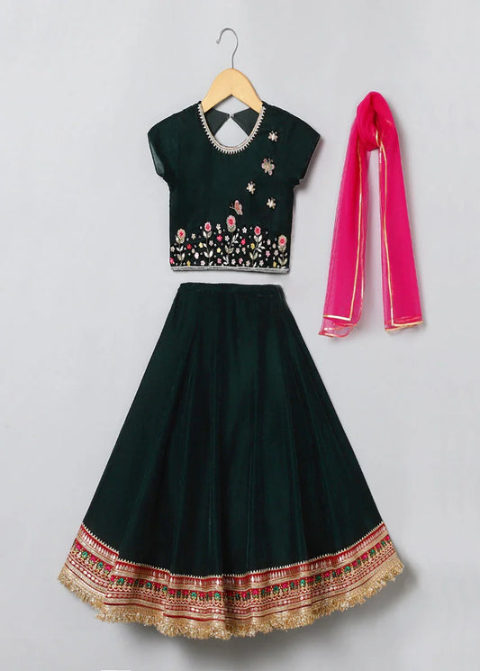 Velvet Embroidered Lehenga Choli Set