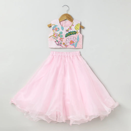 Hand Embroidered  Skirt set