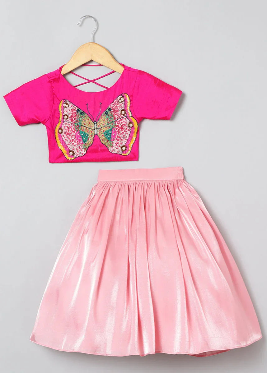 Girls Butterfly Embroidery And Shinny Glass Tissue Skirt And Top