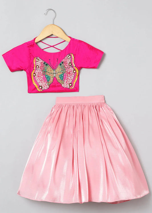 Girls Butterfly Embroidery And Shinny Glass Tissue Skirt And Top