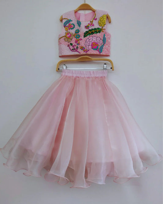 Embroidered Organza Skirt & Raw Silk Top Set