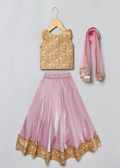 Pink Velvet Lehenga Set