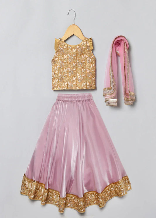 Pink Velvet Lehenga Set