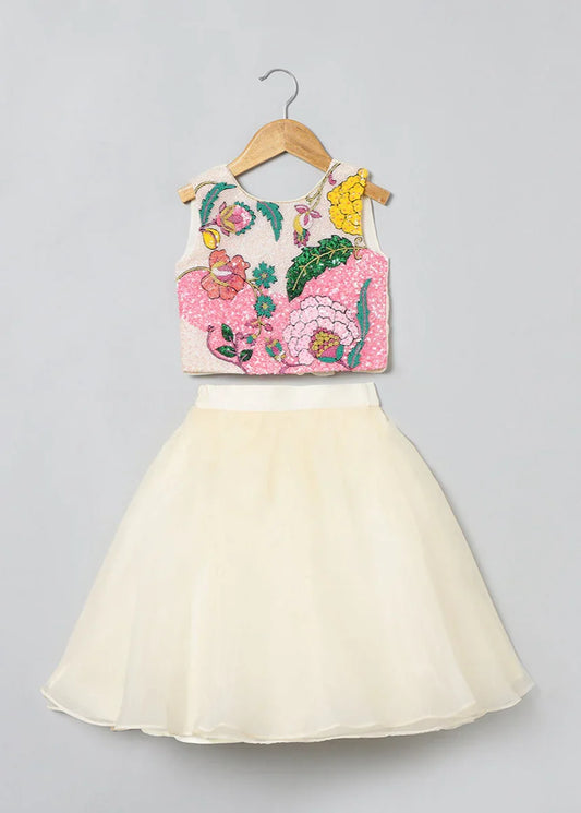 Embroidered Organza Skirt & Top Set