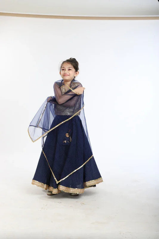 Navy Blue Polka & Sequin Lehenga Set