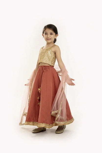 Gold Sequin & Rust Lehenga Set