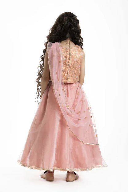 Peach Embroidered Lehenga Set