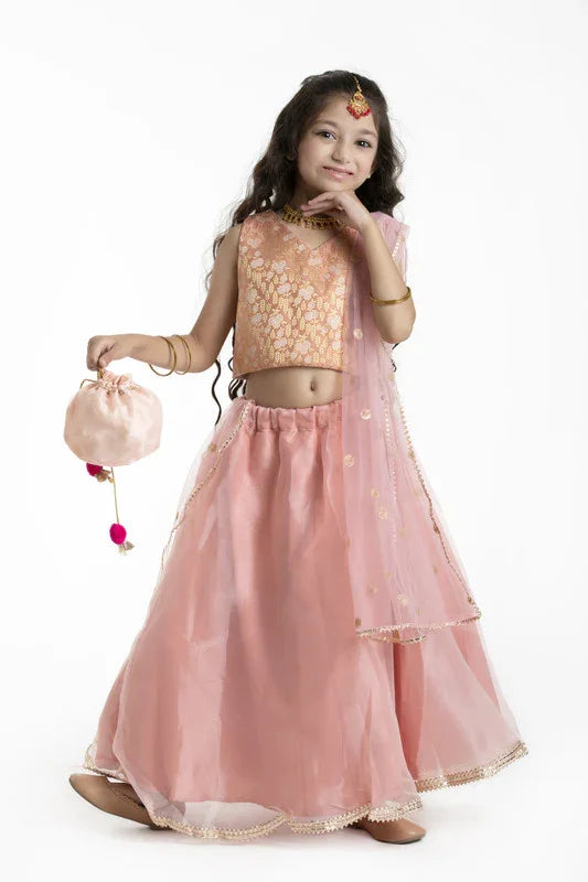 Peach Embroidered Lehenga Set