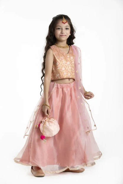 Peach Embroidered Lehenga Set