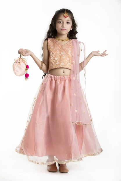 Peach Embroidered Lehenga Set