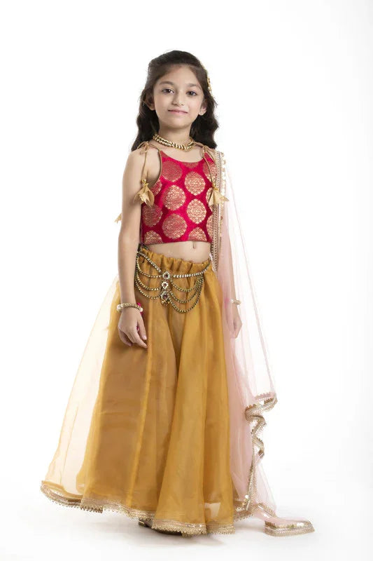 Red & Mustard Zari Lehenga Set with Kamarband