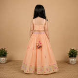 Girls peach Chanderi lehenga set with multicolor mirror embroidery and floral tassel detailing.