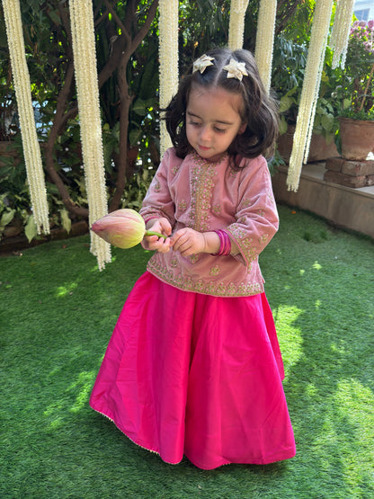 Dusty Pink Velvet Lehenga Set