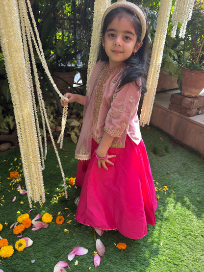 Dusty Pink Velvet Lehenga Set