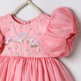 Baby Pink Tissue Girls Party Dress with Puff Sleeves & Floral Embroidery - BYB PREMIUM