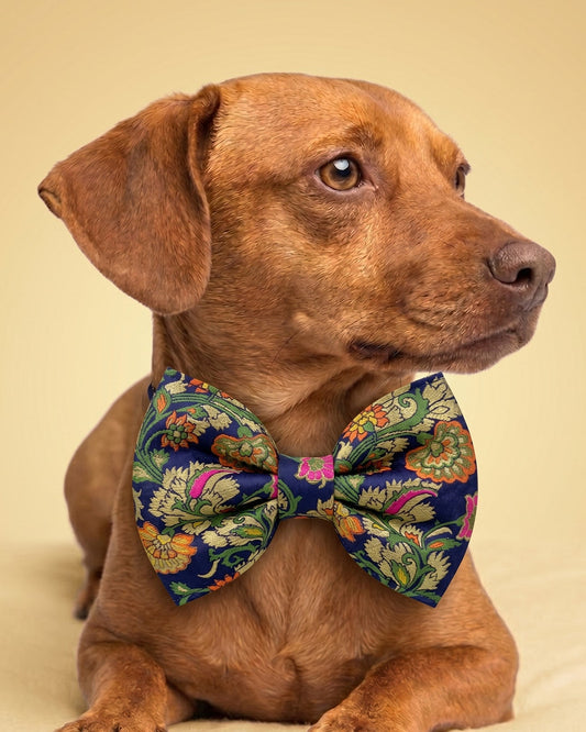 Banarasi Jacquard Bow Tie for Dogs ‚Äì Designer Floral Pet Accessory - BYB PREMIUM