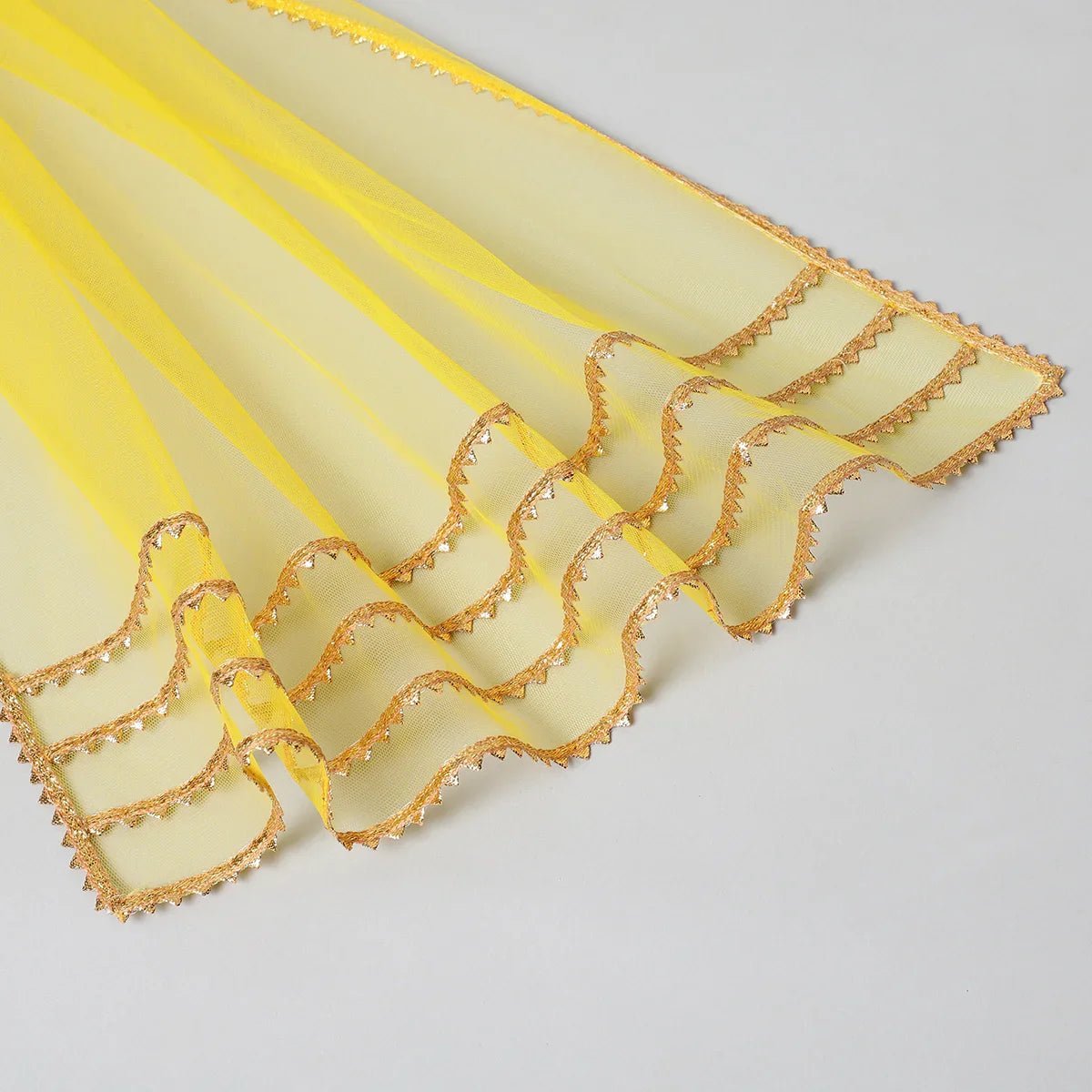 Butterfly bloom tissue silk lehenga set   byb premium