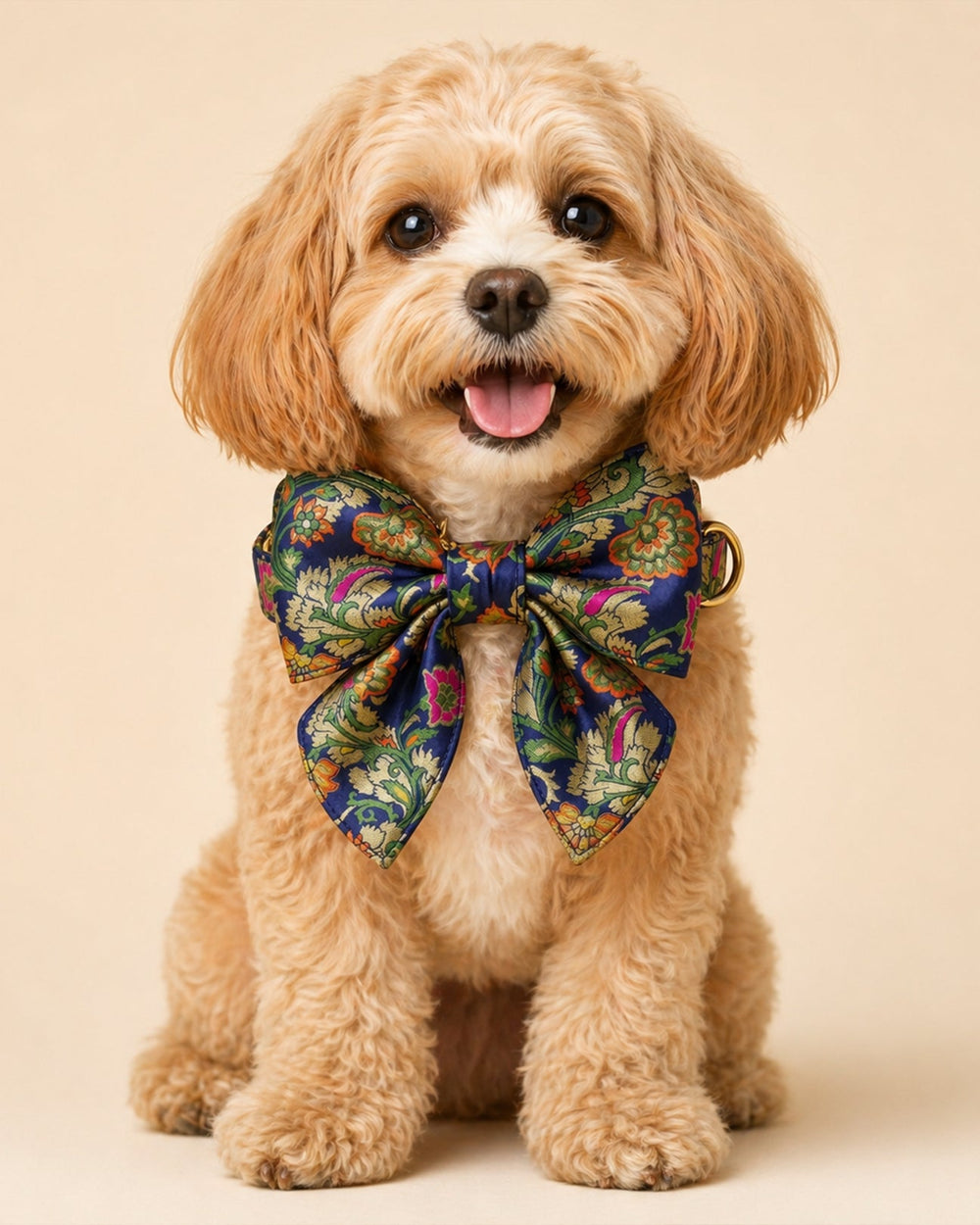 Designer Dog Collar with Pearls & Charms | Premium Pet Accessory - BYB PREMIUM