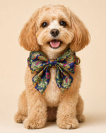 Load image into Gallery viewer, Designer Dog Collar with Pearls &amp; Charms | Premium Pet Accessory - BYB PREMIUM

