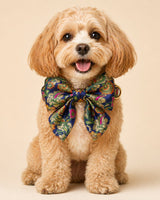 Designer Dog Collar with Pearls & Charms | Premium Pet Accessory - BYB PREMIUM