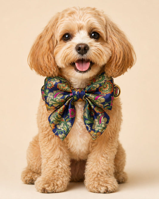 Designer Dog Collar with Pearls & Charms | Premium Pet Accessory - BYB PREMIUM