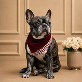 Dog's Maroon Scarf - BYB PREMIUM