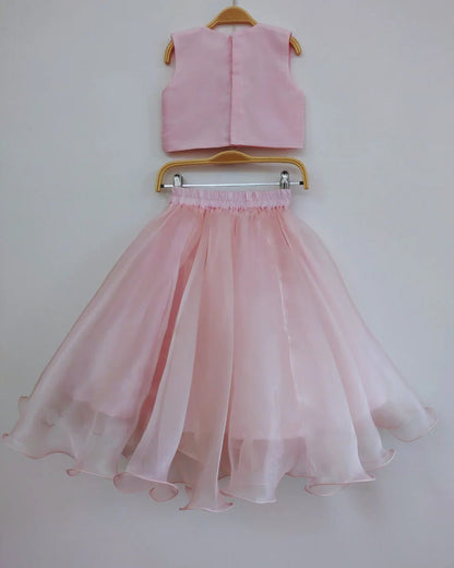 Embroidered Organza Skirt & Raw Silk Top Set - BYB PREMIUM