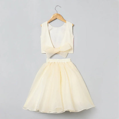 Embroidered Organza Skirt & Top Set - BYB PREMIUM