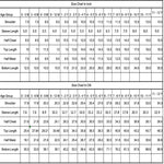 Load image into Gallery viewer, Kota Doria Peplum Top &amp; Plazo Set with Gota Embellishment - BYB PREMIUM
