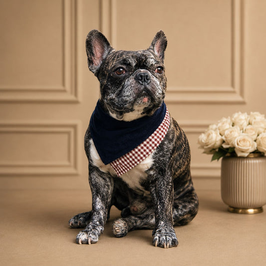 Navy Blue Dog's Scarf - BYB PREMIUM