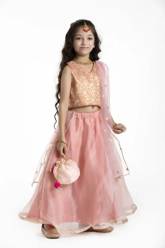 Peach Embroidered Lehenga Set - BYB PREMIUM