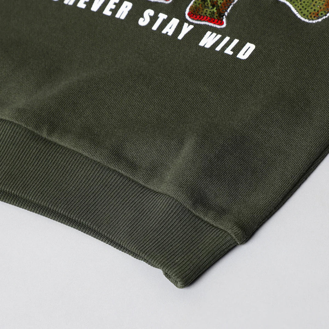 Roar Mode Reversible Sequin Dino Sweatshirt – Olive Green - BYB PREMIUM