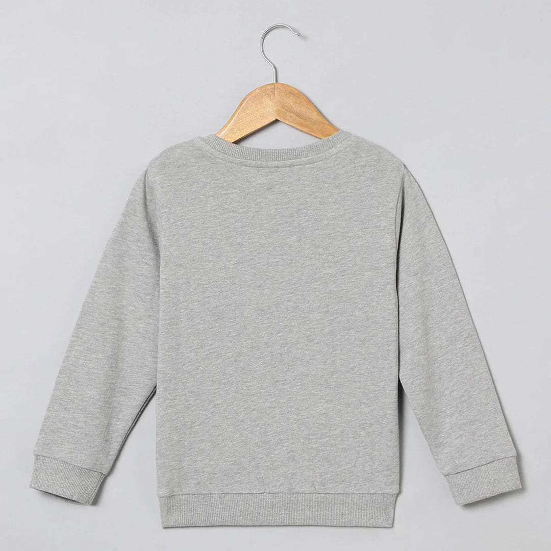 Roar Mode Tiger Embroidered Sweatshirt – Grey - BYB PREMIUM