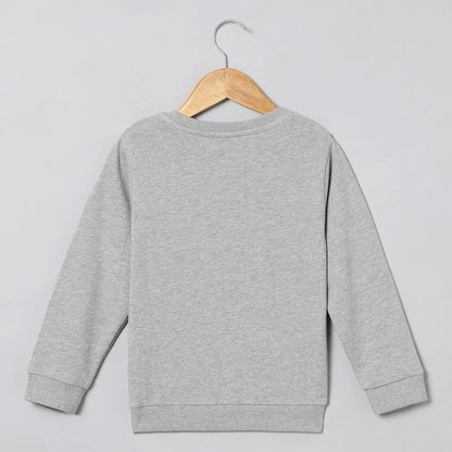 Roar Mode Tiger Embroidered Sweatshirt – Grey - BYB PREMIUM