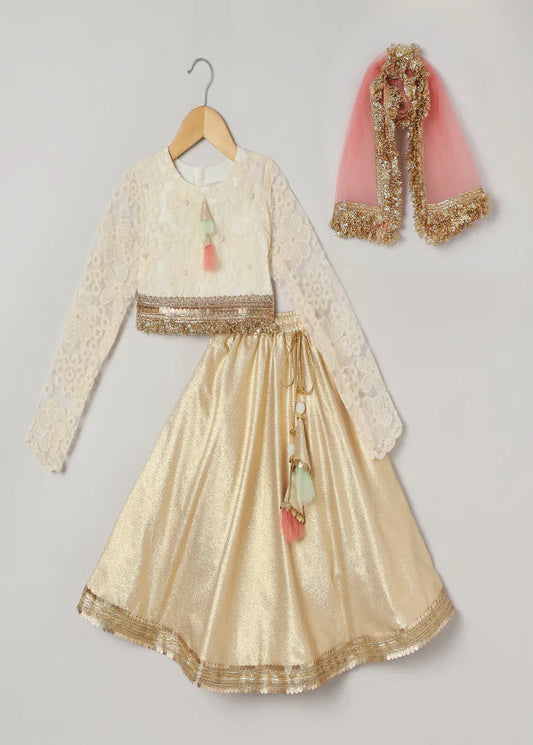 Ivory & Gold Organza Lehenga Set with Embroidered Blouse
