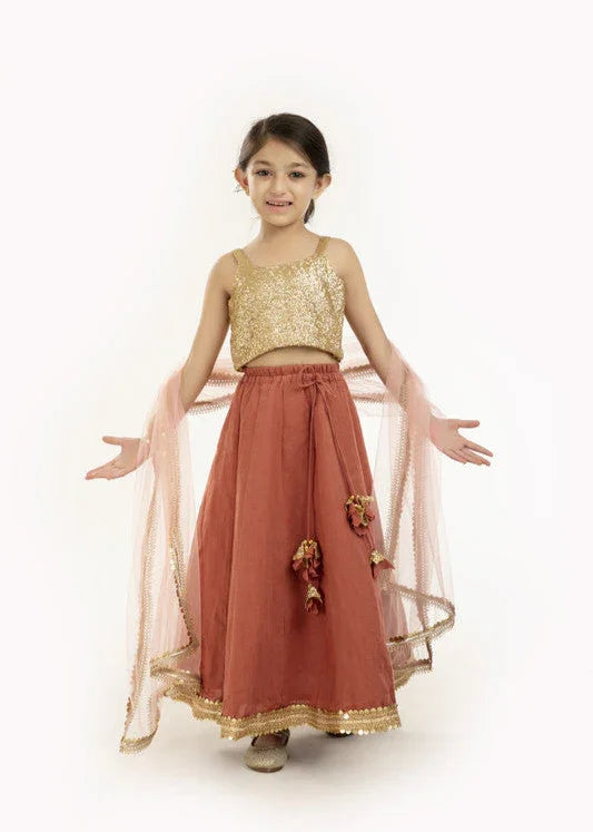 Gold Sequin & Rust Lehenga Set