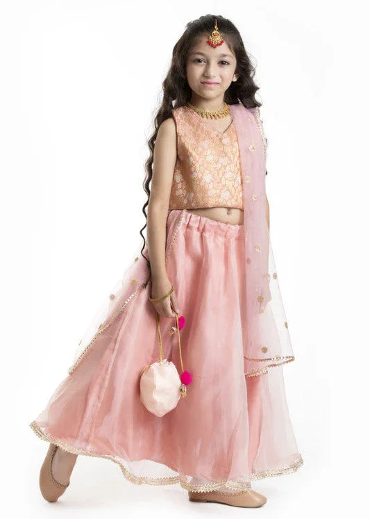 Peach Embroidered Lehenga Set