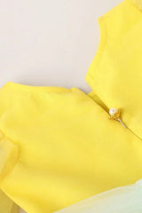 Sunny Delight Yellow Tulle Dress with Matching Belt - BYB PREMIUM